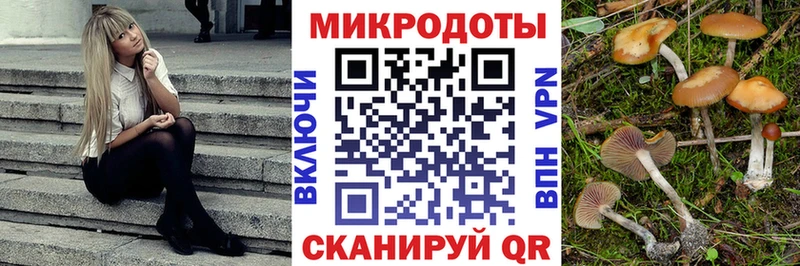 Галлюциногенные грибы Psilocybine cubensis  Купить закладки  Катайск 
